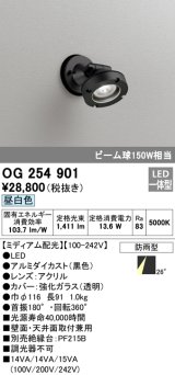 画像: オーデリック　OG254901　エクステリアスポットライト LED一体型 昼白色 ミディアム配光 防雨型 黒