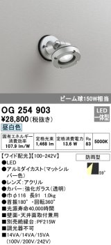 画像: オーデリック　OG254903　エクステリアスポットライト LED一体型 昼白色 ワイド配光 防雨型 マットシルバー