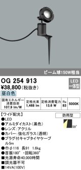 画像: オーデリック　OG254913　エクステリアスポットライト LED一体型 昼白色 埋込200 ワイド配光 防雨型 黒