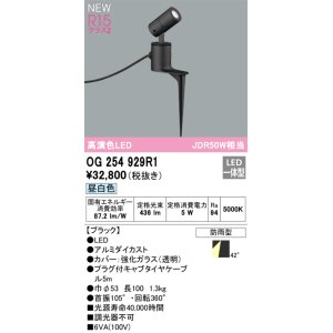 画像: オーデリック OG254929R1 エクステリア スポットライト LED一体型 昼白色 高演色LED R15 防雨型 ブラック