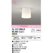 画像1: 【数量限定特価】オーデリック　OL013006LR(ランプ別梱)　シーリングライト 非調光 LEDランプ 電球色 ￡ (1)