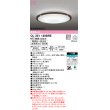 画像1: オーデリック　OL251120BRE　シーリングライト 10畳 調光 調色 Bluetooth コントローラー別売 LED一体型 電球色〜昼光色 住宅用非常灯付 エボニーブラウン (1)