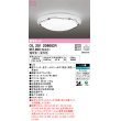 画像1: オーデリック　OL251209BCR　シーリングライト 10畳 調光 調色 Bluetooth リモコン別売 LED一体型 電球色〜昼光色 [♭] (1)