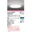 画像1: オーデリック　OL251428BCR　シーリングライト 8畳 調光 調色 Bluetooth リモコン別売 LED一体型 電球色〜昼光色 [♭] (1)