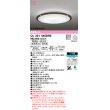 画像1: オーデリック　OL251445BRE　シーリングライト 12畳 調光 調色 Bluetooth コントローラー別売 LED一体型 電球色〜昼光色 住宅用非常灯付 エボニーブラウン (1)