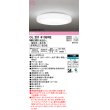 画像1: オーデリック　OL251613BRE　シーリングライト 12畳 調光 調色 Bluetooth コントローラー別売 LED一体型 電球色〜昼光色 住宅用非常灯付 (1)