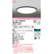 画像1: オーデリック　OL251619BCR　シーリングライト 12畳 調光 調色 Bluetooth リモコン別売 LED一体型 電球色〜昼光色 エボニーブラウン [♭] (1)