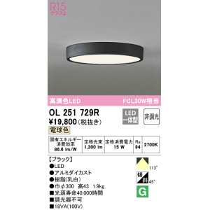 画像: オーデリック　OL251729R　シーリングライト 非調光 LED一体型 電球色 ブラック