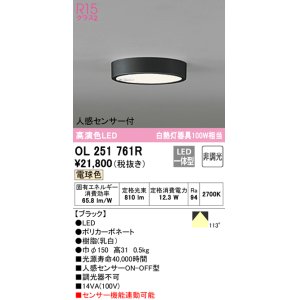 オーデリック OL251759R シーリングライト 非調光 LED一体型 電球色 人