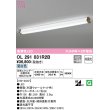 画像1: オーデリック　OL291031R2B(LEDユニット別梱)　ブラケットライト 非調光 LED一体型 昼白色 木調ウォールナット (1)