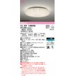 画像1: オーデリック　OL291148BRE　シーリングライト 10畳 調光 調色 Bluetooth コントローラー別売 LED一体型 電球色〜昼光色 住宅用非常灯付 (1)