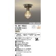 画像1: オーデリック　OL291163LC(ランプ別梱包)　LEDシーリングライト LEDランプ 連続調光 電球色 調光器別売 壁面・天井面・傾斜面取付 (1)