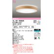 画像1: オーデリック　OL291480BR　シーリングライト 12畳 調光 調色 Bluetooth コントローラー別売 LED一体型 電球色〜昼光色 クリア (1)