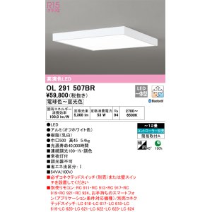 画像: オーデリック　OL291507BR　シーリングライト 12畳 調光 調色 Bluetooth コントローラー別売 LED一体型 電球色〜昼光色 オフホワイト