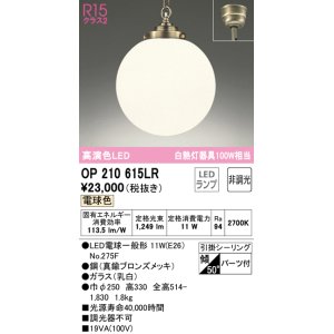 画像: オーデリック　OP210615LR(ランプ別梱)　ペンダントライト 非調光 LEDランプ 電球色 フレンジタイプ