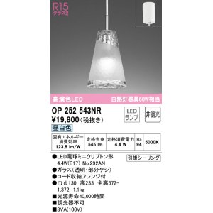 オーデリック OP252231NR(ランプ別梱) ペンダントライト 非調光 LED