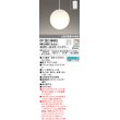 画像1: オーデリック　OP252594RG　ペンダントライト フルカラー 調光 調色 Bluetooth コントローラー別売 LEDランプ 電球色〜昼光色・フルカラー フレンジタイプ (1)