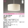 画像1: オーデリック　OP252603LR　ペンダントライト 非調光 LEDランプ 電球色 フレンジタイプ アイボリー (1)