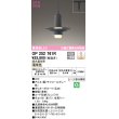 画像1: オーデリック　OP252761R　ペンダントライト 調光 調光器別売 LED一体型 電球色 プラグタイプ チャコールグレー (1)