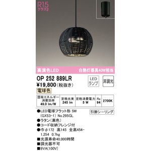 画像: オーデリック　OP252889LR(ランプ別梱)　ペンダントライト 非調光 LEDランプ 電球色 フレンジタイプ 黒色