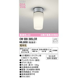 画像: オーデリック OW009395LCR(ランプ別梱) エクステリア ポーチライト LED 電球色 高演色LED R15 防雨・防湿型 シルバー