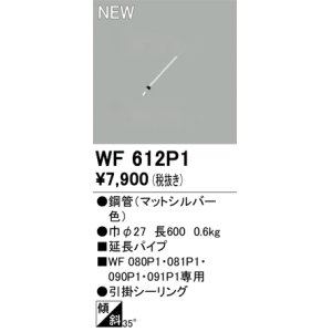 画像: オーデリック WF612P1 シーリングファン 部材 延長パイプ 長600 マットシルバー