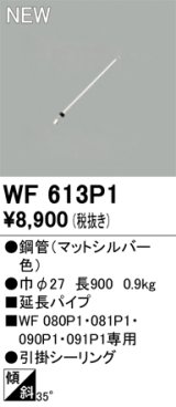 画像: オーデリック WF613P1 シーリングファン 部材 延長パイプ 長900 マットシルバー