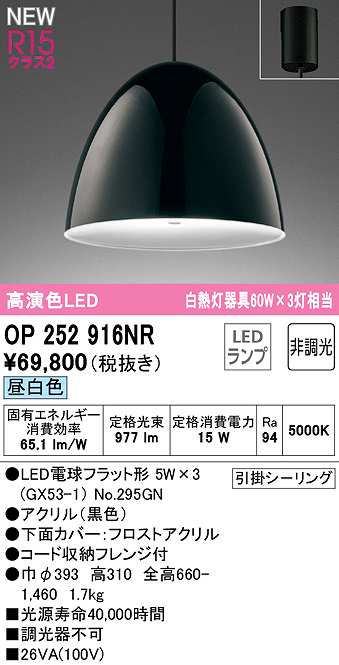 画像1: オーデリック　OP252916NR(ランプ別梱)　ペンダントライト 非調光 LEDランプ 昼白色 フレンジタイプ 黒色 (1)