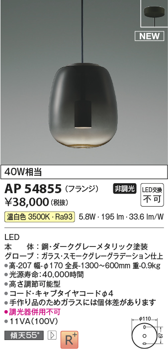 コイズミ照明 AP54855 ペンダント 非調光 LED一体型 温白色 フランジ