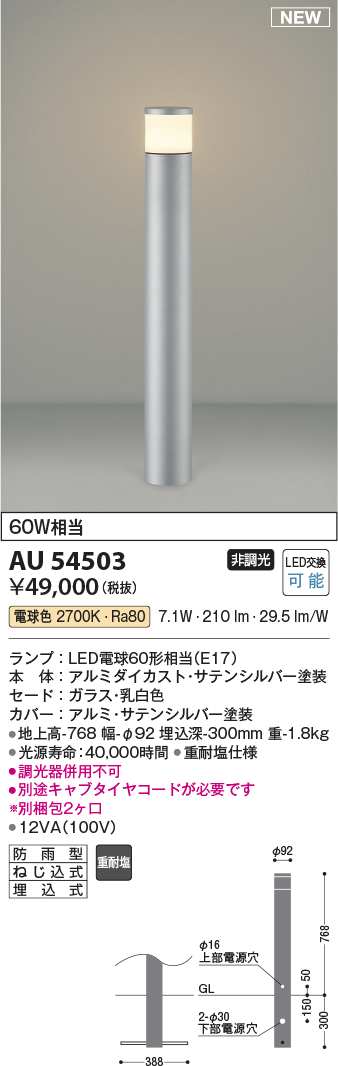 画像1: コイズミ照明 AU54503(別梱2ヶ口) アウトドアライト 非調光 LED 電球色 防雨型 サテンシルバー (1)