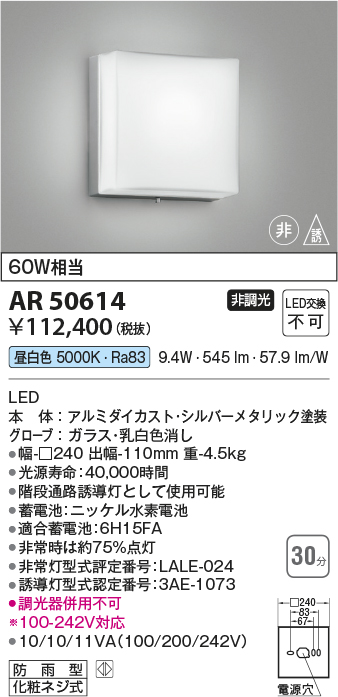 画像1: コイズミ照明　AR50614　非常用照明 LED一体型 非調光 昼白色 防雨型 化粧ネジ式 シルバー (1)