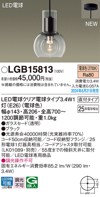 画像1: パナソニック LGB15813(ランプ同梱包) ペンダント LED(電球色) 天井吊下型 直付タイプ ガラスセード LED電球交換型 ブラック (1)